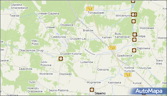 mapa Antoninów gmina Sławno, Antoninów gmina Sławno na mapie Targeo