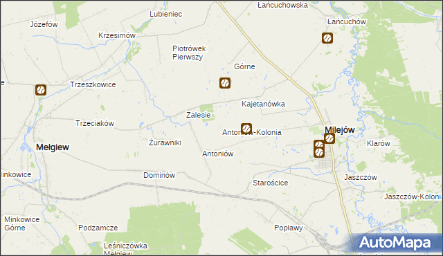 mapa Antoniów-Kolonia, Antoniów-Kolonia na mapie Targeo