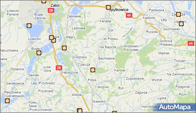 mapa Bachowice, Bachowice na mapie Targeo