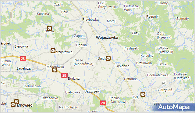 mapa Bajdy gmina Wojaszówka, Bajdy gmina Wojaszówka na mapie Targeo