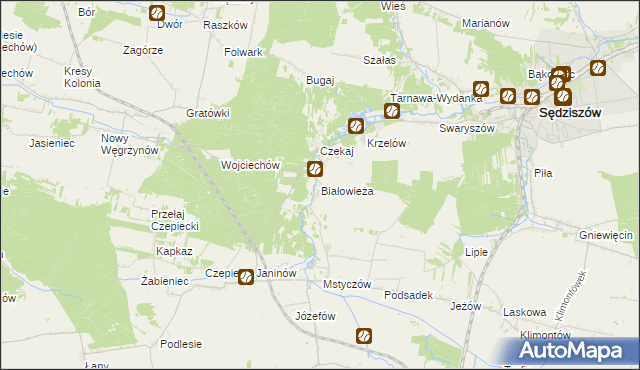 mapa Białowieża gmina Sędziszów, Białowieża gmina Sędziszów na mapie Targeo
