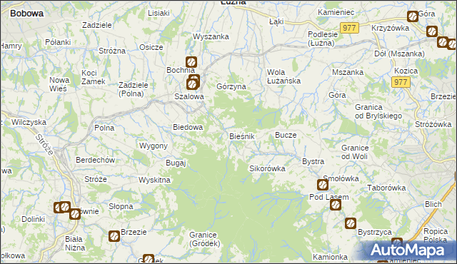 mapa Bieśnik gmina Łużna, Bieśnik gmina Łużna na mapie Targeo