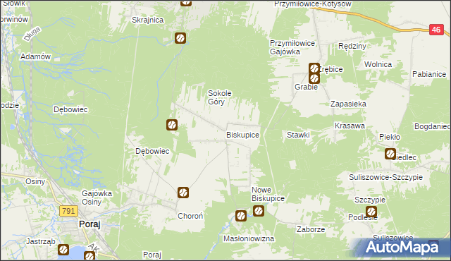 mapa Biskupice gmina Olsztyn, Biskupice gmina Olsztyn na mapie Targeo