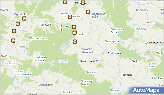 mapa Bokinka Królewska, Bokinka Królewska na mapie Targeo