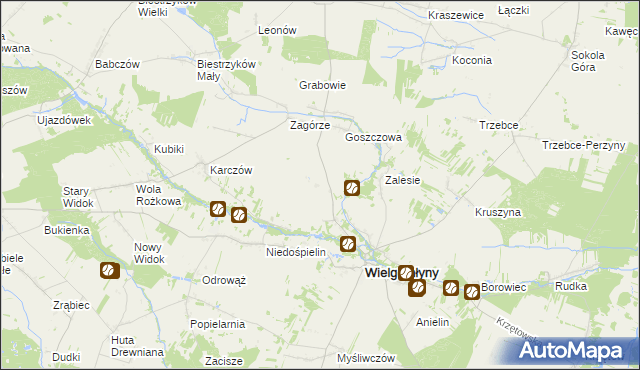 mapa Borecznica, Borecznica na mapie Targeo