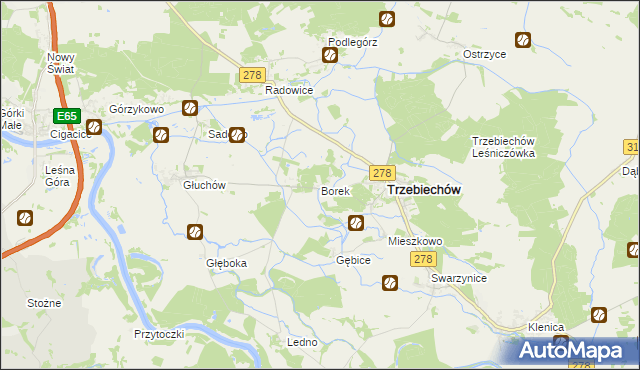 mapa Borek gmina Trzebiechów, Borek gmina Trzebiechów na mapie Targeo