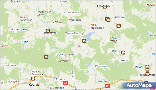 mapa Borki gmina Masłowice, Borki gmina Masłowice na mapie Targeo