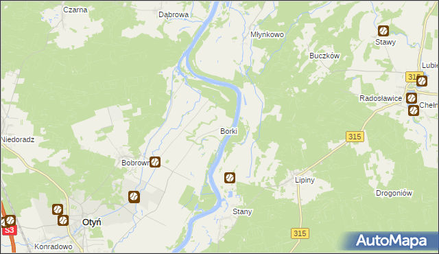 mapa Borki gmina Otyń, Borki gmina Otyń na mapie Targeo