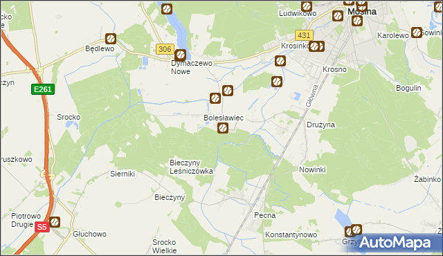 mapa Borkowice gmina Mosina, Borkowice gmina Mosina na mapie Targeo