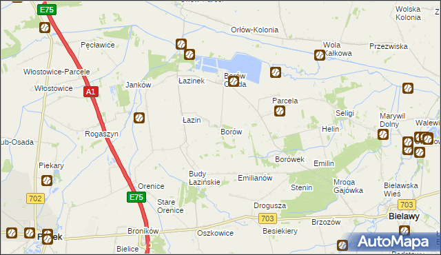 mapa Borów gmina Bielawy, Borów gmina Bielawy na mapie Targeo