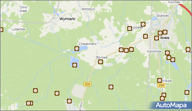 mapa Borowe gmina Iłowa, Borowe gmina Iłowa na mapie Targeo