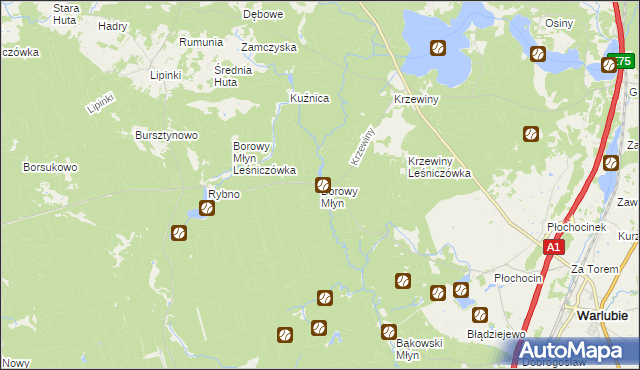 mapa Borowy Młyn gmina Warlubie, Borowy Młyn gmina Warlubie na mapie Targeo