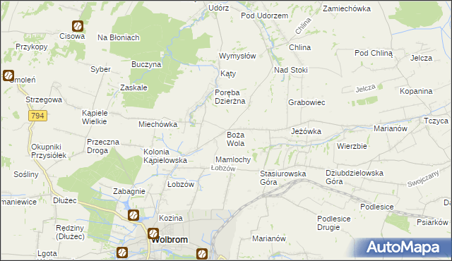 mapa Boża Wola gmina Wolbrom, Boża Wola gmina Wolbrom na mapie Targeo