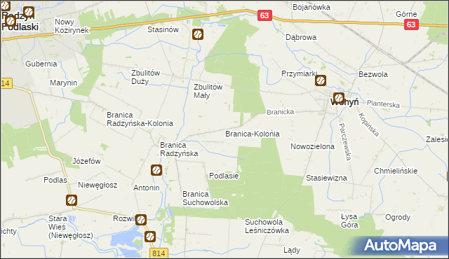 mapa Branica-Kolonia gmina Wohyń, Branica-Kolonia gmina Wohyń na mapie Targeo