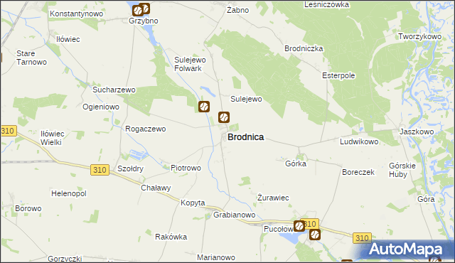 mapa Brodnica powiat śremski, Brodnica powiat śremski na mapie Targeo