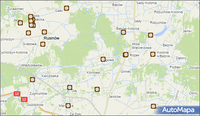 mapa Brogowa, Brogowa na mapie Targeo