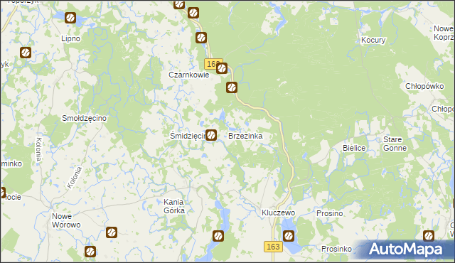 mapa Brzezinka gmina Czaplinek, Brzezinka gmina Czaplinek na mapie Targeo