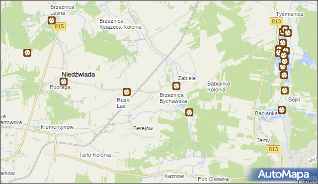 mapa Brzeźnica Bychawska, Brzeźnica Bychawska na mapie Targeo