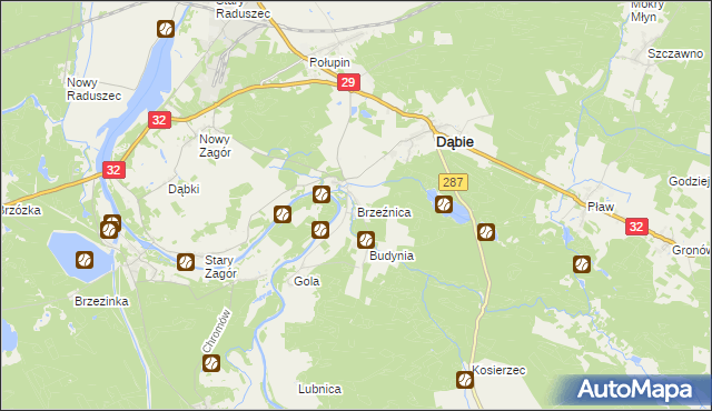 mapa Brzeźnica gmina Dąbie, Brzeźnica gmina Dąbie na mapie Targeo