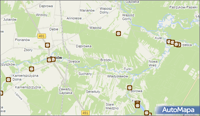 mapa Brzózki gmina Popów, Brzózki gmina Popów na mapie Targeo