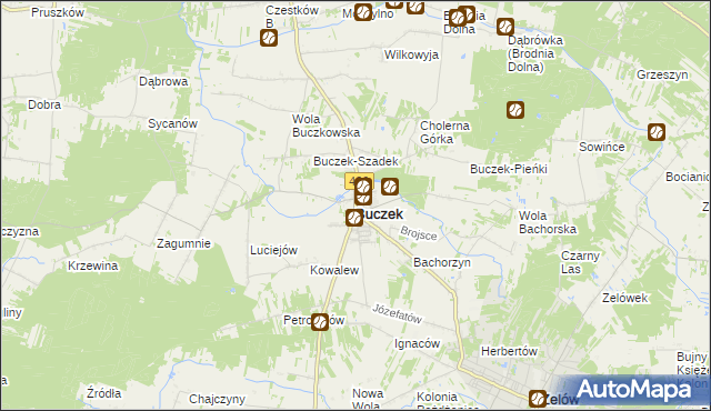 mapa Buczek powiat łaski, Buczek powiat łaski na mapie Targeo