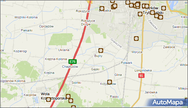 mapa Bujny gmina Wola Krzysztoporska, Bujny gmina Wola Krzysztoporska na mapie Targeo