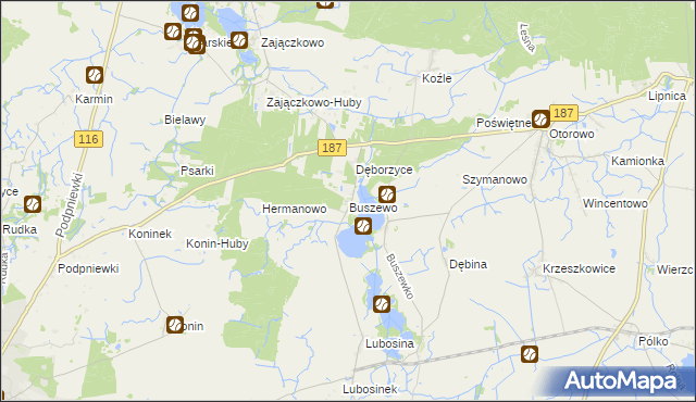 mapa Buszewo gmina Pniewy, Buszewo gmina Pniewy na mapie Targeo