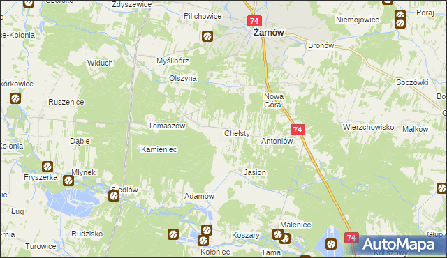 mapa Chełsty gmina Żarnów, Chełsty gmina Żarnów na mapie Targeo