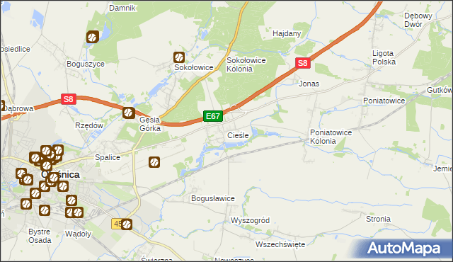 mapa Cieśle gmina Oleśnica, Cieśle gmina Oleśnica na mapie Targeo