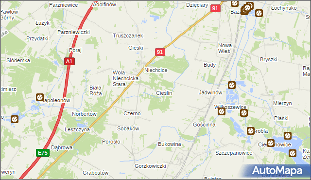 mapa Cieślin gmina Rozprza, Cieślin gmina Rozprza na mapie Targeo