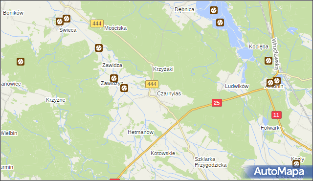 mapa Czarnylas gmina Przygodzice, Czarnylas gmina Przygodzice na mapie Targeo