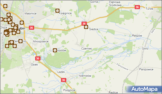 mapa Czerniec gmina Lubin, Czerniec gmina Lubin na mapie Targeo