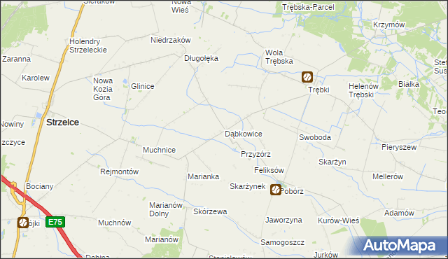 mapa Dąbkowice gmina Strzelce, Dąbkowice gmina Strzelce na mapie Targeo