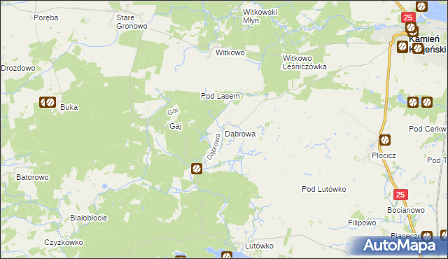 mapa Dąbrowa gmina Kamień Krajeński, Dąbrowa gmina Kamień Krajeński na mapie Targeo