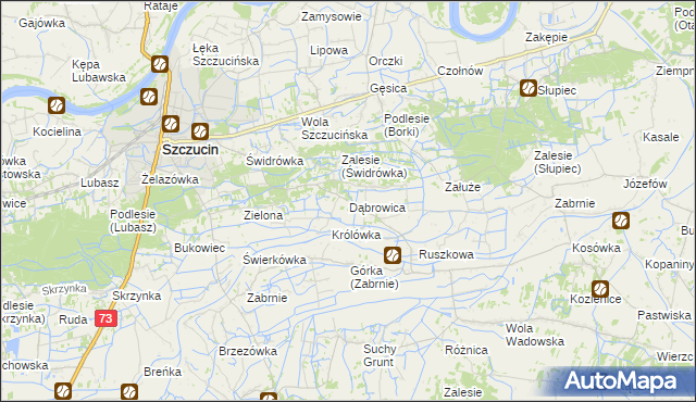 mapa Dąbrowica gmina Szczucin, Dąbrowica gmina Szczucin na mapie Targeo