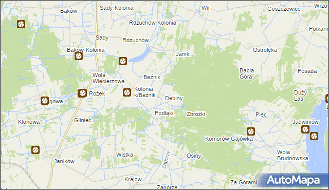 mapa Dębiny gmina Przysucha, Dębiny gmina Przysucha na mapie Targeo