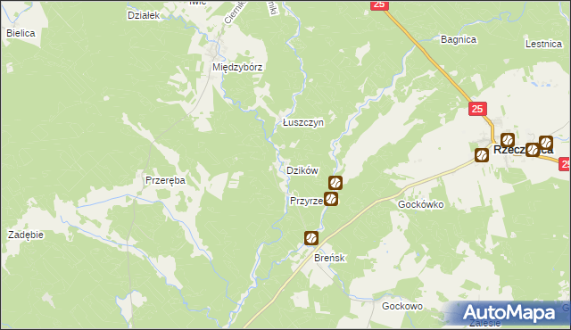 mapa Dzików gmina Rzeczenica, Dzików gmina Rzeczenica na mapie Targeo