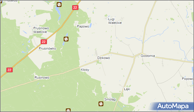 mapa Dzikowo gmina Wałcz, Dzikowo gmina Wałcz na mapie Targeo