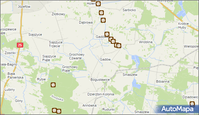 mapa Gadów, Gadów na mapie Targeo