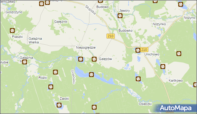 mapa Gałęzów gmina Dębnica Kaszubska, Gałęzów gmina Dębnica Kaszubska na mapie Targeo