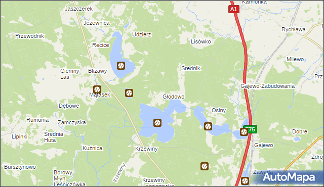 mapa Głodowo gmina Nowe, Głodowo gmina Nowe na mapie Targeo