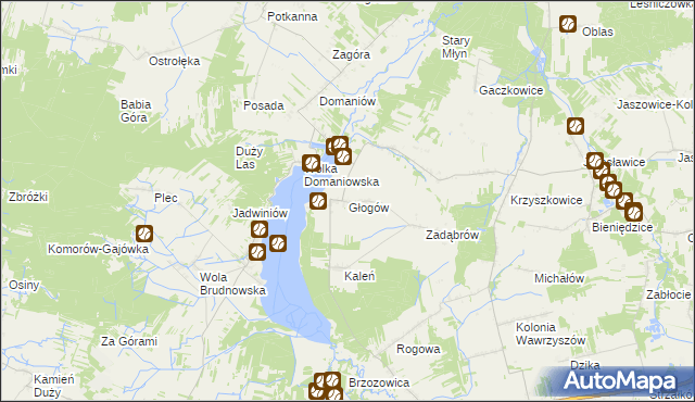 mapa Głogów gmina Wieniawa, Głogów gmina Wieniawa na mapie Targeo