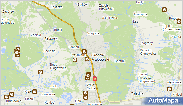 mapa Głogów Małopolski, Głogów Małopolski na mapie Targeo