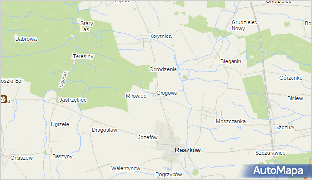 mapa Głogowa gmina Raszków, Głogowa gmina Raszków na mapie Targeo