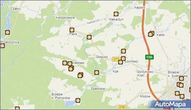 mapa Głogusz, Głogusz na mapie Targeo