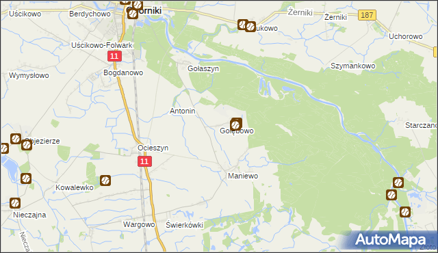 mapa Gołębowo, Gołębowo na mapie Targeo