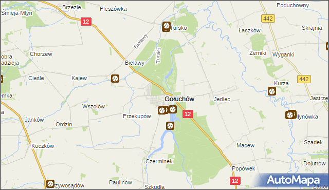 mapa Gołuchów powiat pleszewski, Gołuchów powiat pleszewski na mapie Targeo