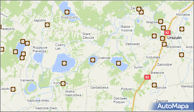 mapa Grabniak gmina Urszulin, Grabniak gmina Urszulin na mapie Targeo