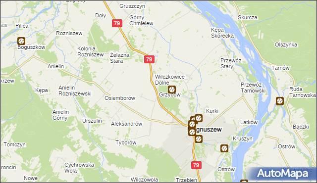 mapa Grzybów gmina Magnuszew, Grzybów gmina Magnuszew na mapie Targeo
