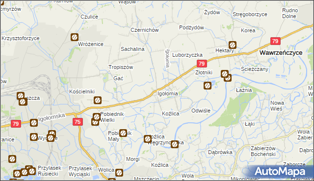 mapa Igołomia, Igołomia na mapie Targeo